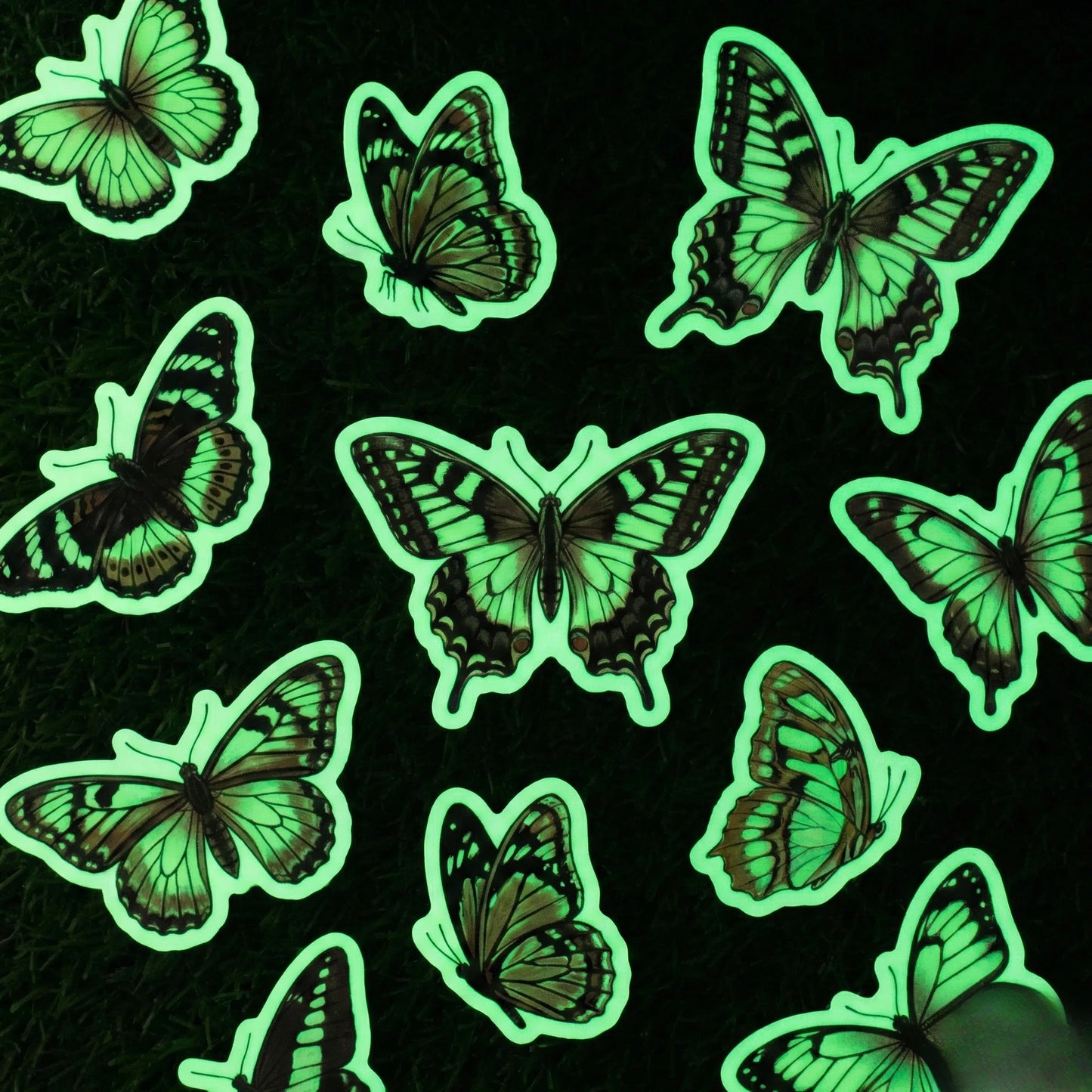 Okaystickers Glow in the dark butterfly vinyl stickers emitting green phosphorescent glow on black background