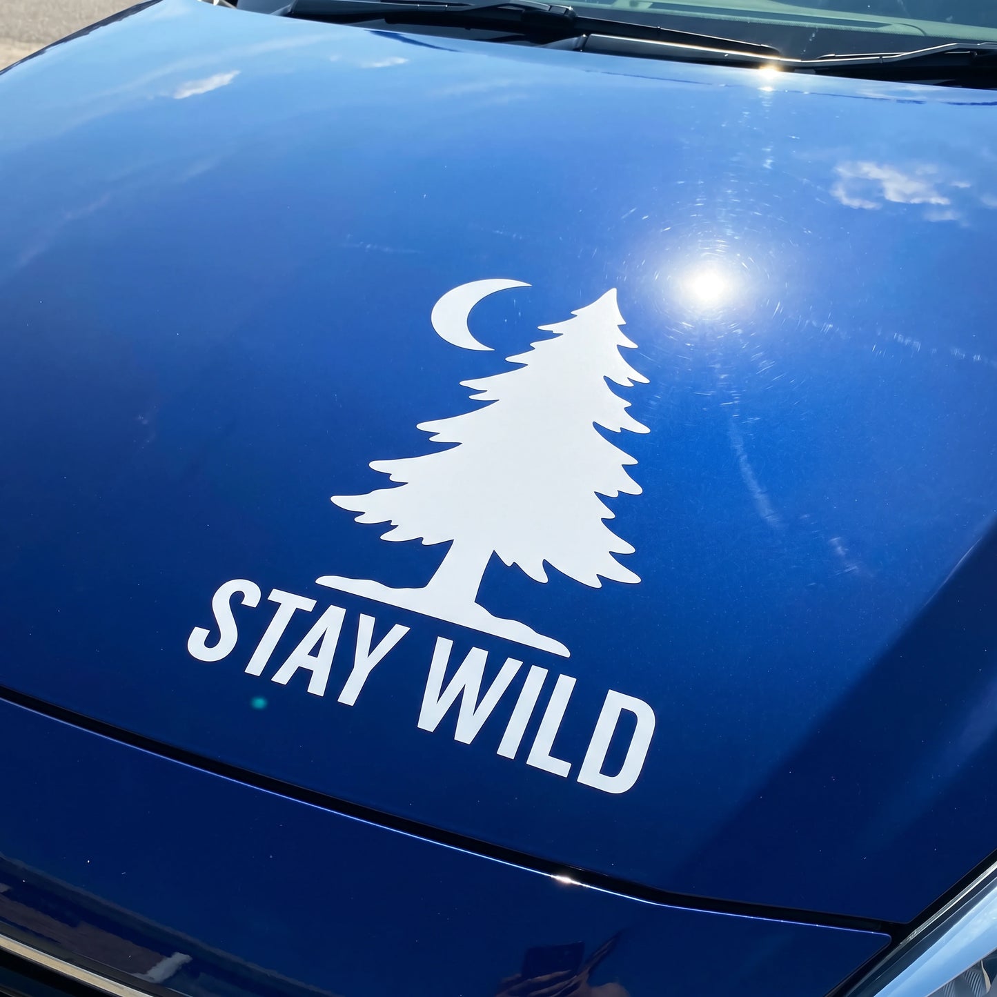 A realistic close-up photo under strong sunlight of a custom-designed, UV-resistant vinyl car sticker ("STAY WILD" text and pine tree graphic) applied to a clean blue car bonnet, demonstrating its vibrant colors and weatherproof quality.